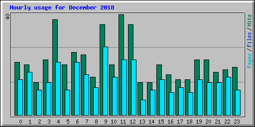 Hourly usage for December 2018